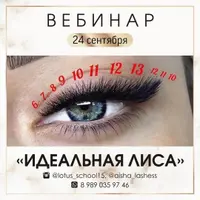 Лисий Эффект