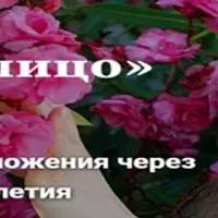 Красота налицо