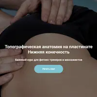 Топографическая анатомия на пластинате. Нижняя конечность