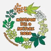 Марафон: Всё о листьях
