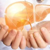 Здоровая печень