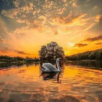 Дробные карты. Занятие 9. Накшатрамша Д-27