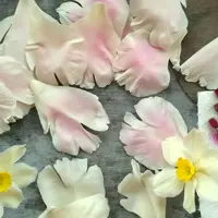 Розовый пион из холодного фарфора