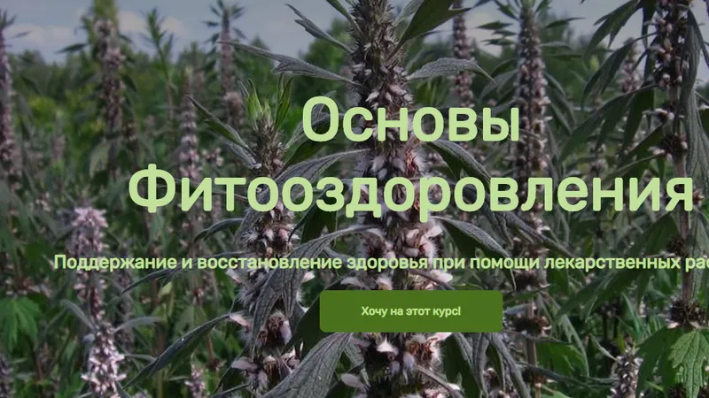 Основы Фитооздоровления