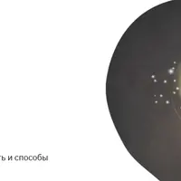 Как устроен мозг?