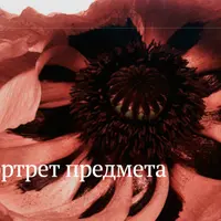 Портрет предмета