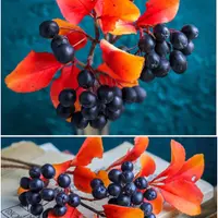 Осенние листья и ягоды