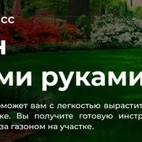 Газон своими руками