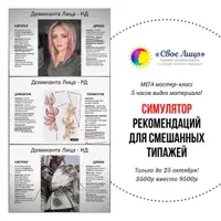 Симулятор рекомендаций для смешанных стилевых типажей