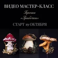 Броши Грибочки