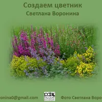 Технология создания цветника. Шаг за шагом