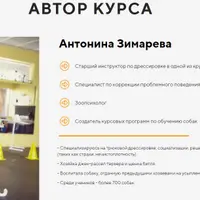 SOS: Моя собака писает и какает дома