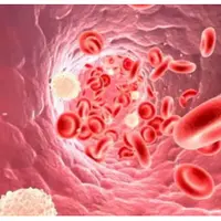 Практики очищения организма