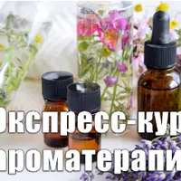Экспресс-курс ароматерапии