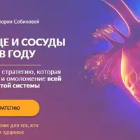 Сильное сердце и сосуды 365 дней в году
