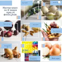 МК по 6 видам лука из полимерной запекаемой глины