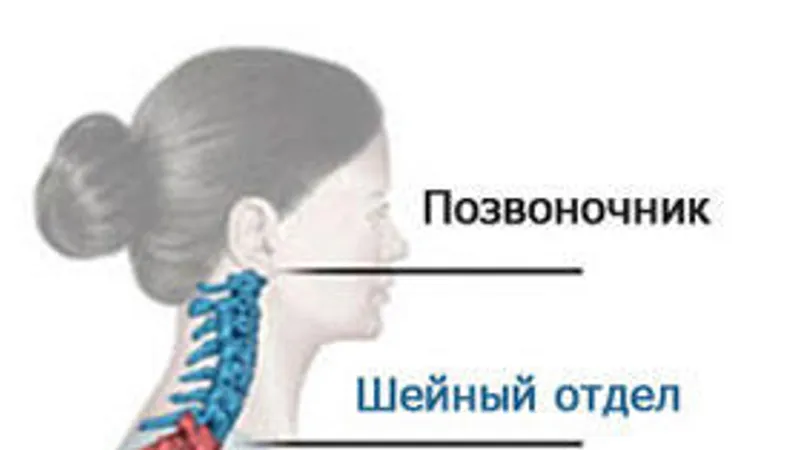 О чем болит ваше тело?