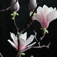 Магнолия из полимерной глины