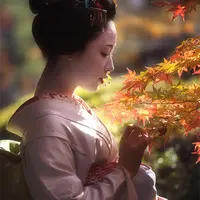 Как сегодня понимать японские стихи