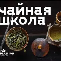 Чайная школа. Полный курс