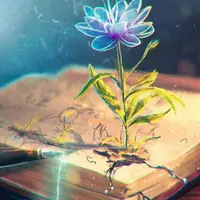 Волшебные слова