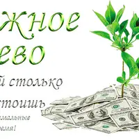 Денежное дерево