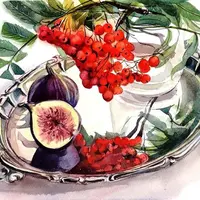 Рябина и инжир