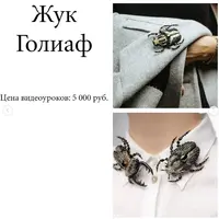 Брошь Жук Голиаф