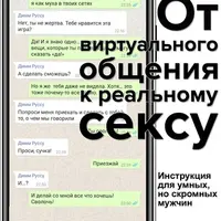 От виртуального общения к реальному сексу. Руководство по бесконтактному соблазнению