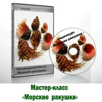 Морские ракушки