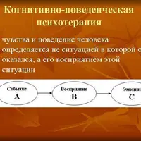 Когнитивно-поведенческая психотерапия в работе с пациентом с психосоматическим заболеванием