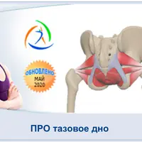 Про тазовое дно