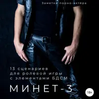 Минет. Заметки порно-актёра