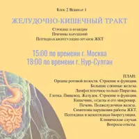 Желудочно-кишечный тракт