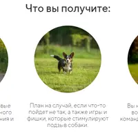 Идеальный подзыв