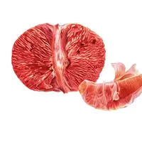 Все про цитрусы