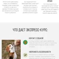 Воспитанная собака за 3 недели