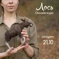 Валяние лося