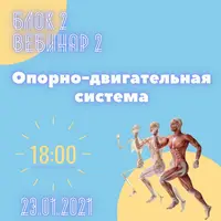 Опорно-двигательная система