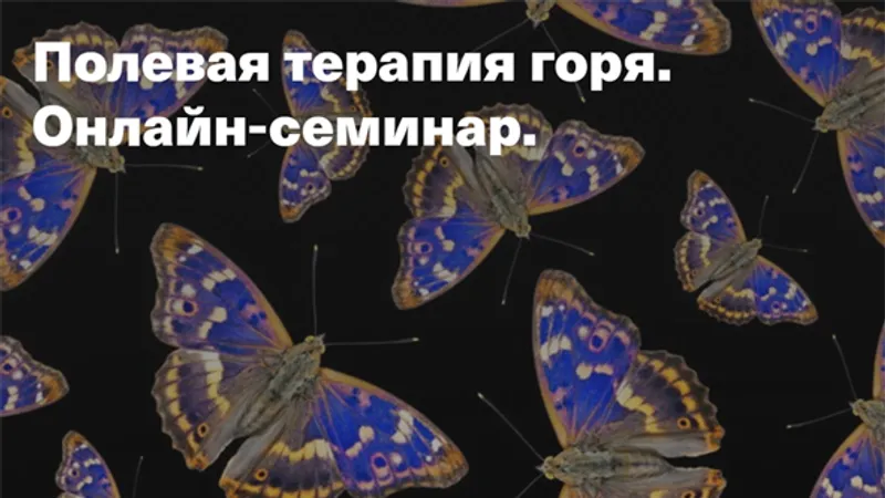 Полевая терапия горя. Онлайн-семинар