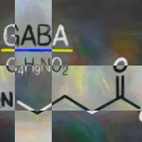 Гамма-аминомасляная кислота (ГАМК). Экстра сила