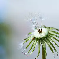 Нужда в деньгах