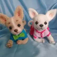 Чихуашки мастер-класс