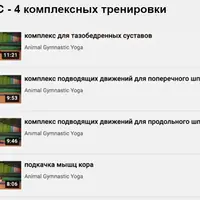 Animal gymnastics yoga 2.0