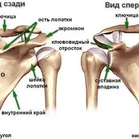 Йогатерапия плеч