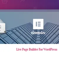 Elementor PRO Page builder
