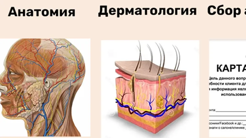 Мастерство диагностики