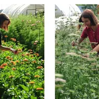 Маленькая цветочная ферма