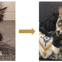 Уверенность в себе. Становимся прочнее