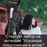 Условные предложения в актив